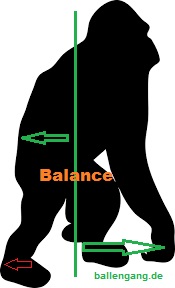 ballengang_affe_balance
