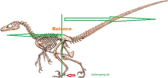 ballengang_dino_balance