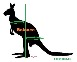ballengang_kangoroo_balance